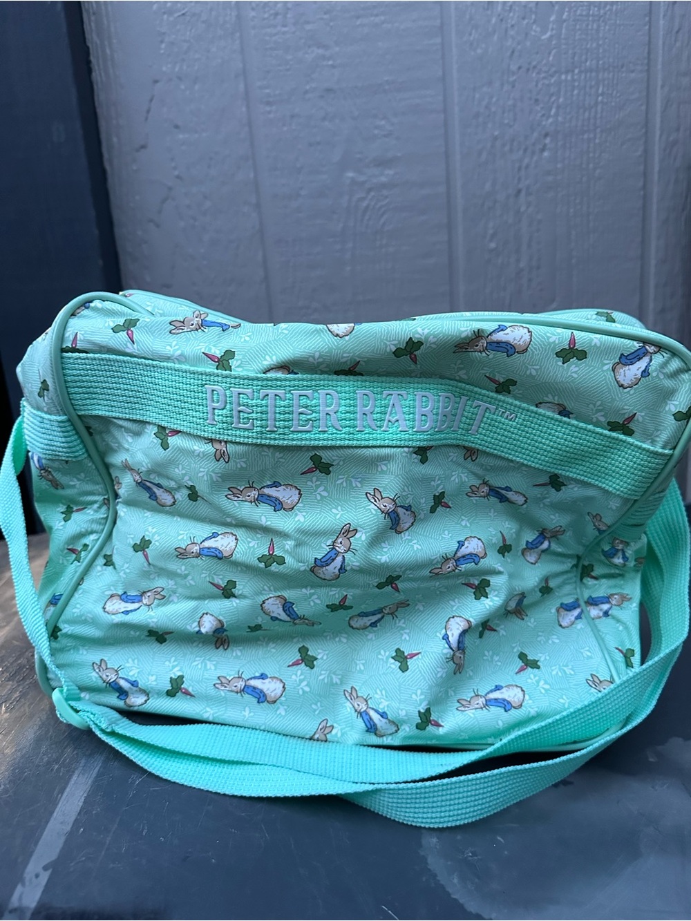 Y2k Vintage Peter Rabbit Beatrix Potter Enfamil Diaper/Milk Bag NWOT
